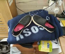 sketchers runners