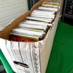 Indie Long Comic Box w 300 Comics for Sale