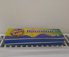 Parrot Harmonica