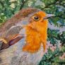 Perched | FineArt Print | Framed Image 10