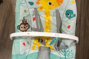 baby bouncer