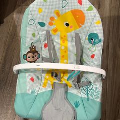 baby bouncer