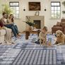 120x160cm, Blue Grey Vintage Rug, Modern Abstract Area Rugs, Non-Slip Carpet, Low Pile, Non-Shedding, Grid Printed Design, Dining Room, Home Office, Bedroom Image 2
