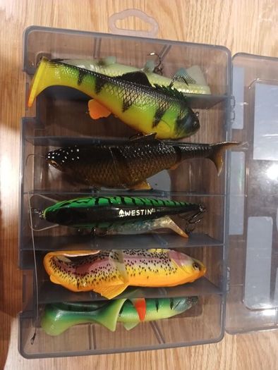 fishing