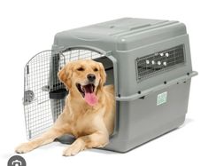 IATA approved dog crate, 106l , 86h, 65 w, bergamo brand