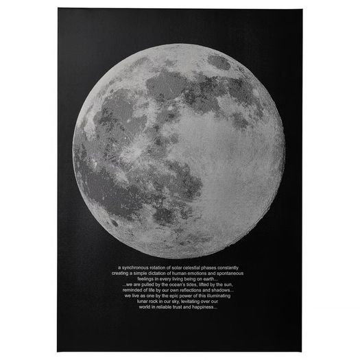 Ikea PJATTERYD Picture moonlight