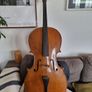 Unlabelled Cello full size Image 3