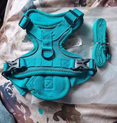 Brand New Large Cat Backpack Harnass & Leads