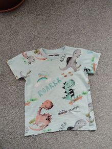 NEXT boys t-shirt.age 4/5