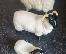 Set of Beswick sheep