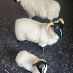 Set of Beswick sheep