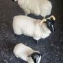 Set of Beswick sheep Image 2