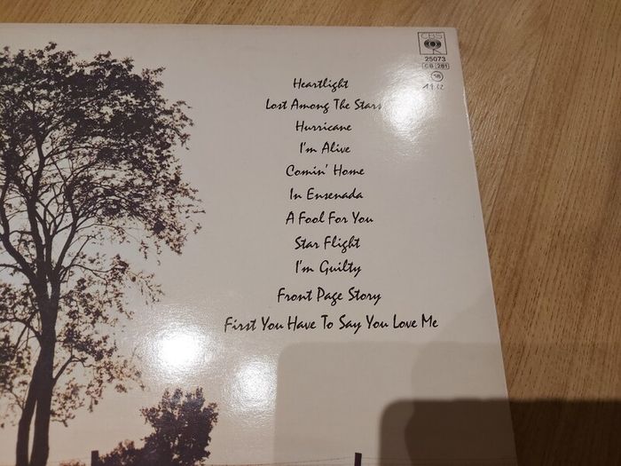 Batch Of Vinyl Records For Sale (11/15) - All Cleaned And In Excellent Condition.