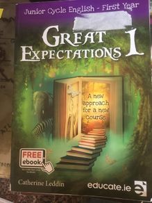 great expectations 1 book and portfolio