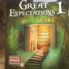 great expectations 1 book and portfolio