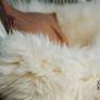 Giant sheepskin rugs, ivory colour, real leather.Ideal gift idea, wedding Image 5