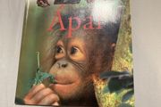 Irish language children's book