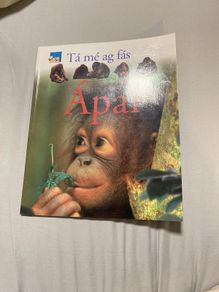 Irish language children's book
