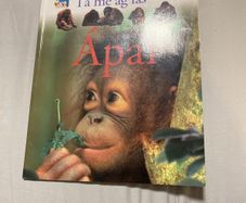 Irish language children's book