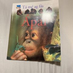 Irish language children's book