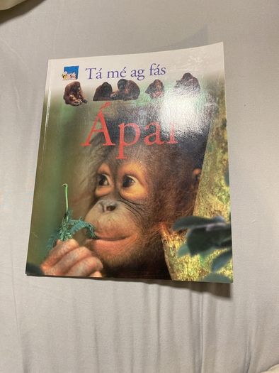 Irish language children's book
