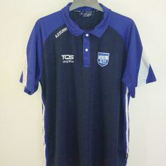 waterford gaa polo