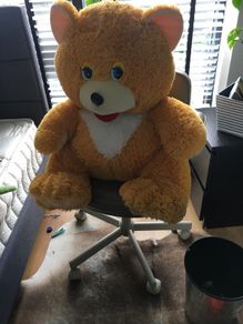Huge teddy  Bear , good condition