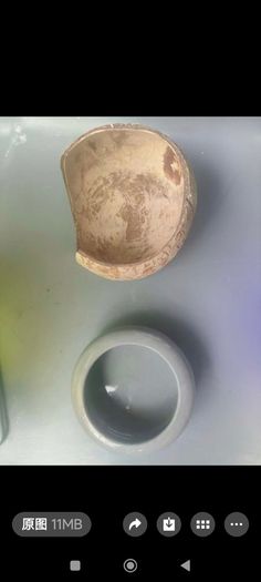 Hamster cage