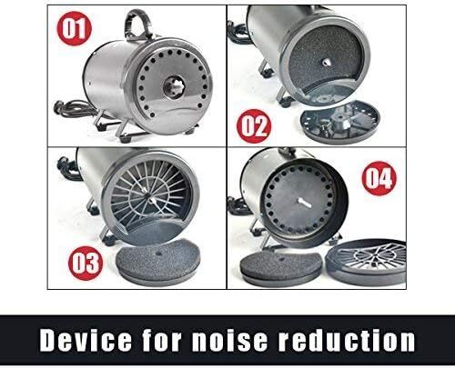 2800W Professional Dog Pet Dryer Grooming Blower with Hose