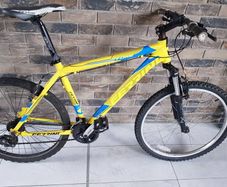 ferrini mountain bike