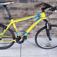 ferrini mountain bike