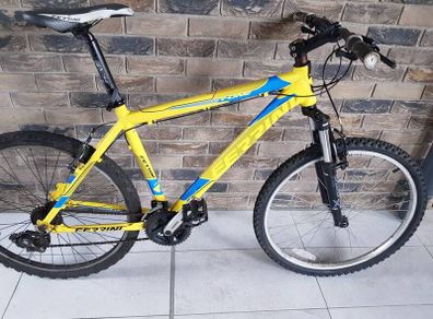 ferrini mountain bike