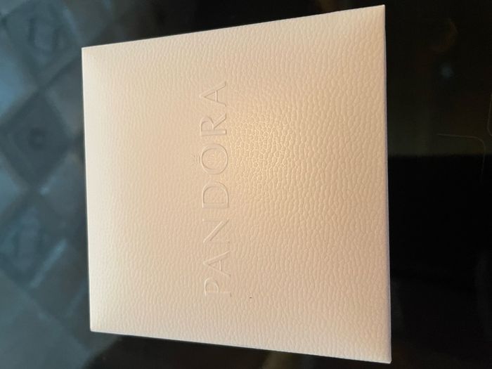 Price Drop New Pandora Moments Bracelet plus Gift Box Incl
