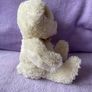 Play & Learn White & Cream Teddy Bear Image 4