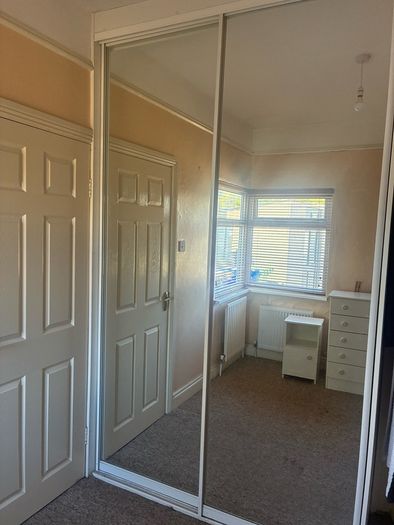 Mirror sliding doors