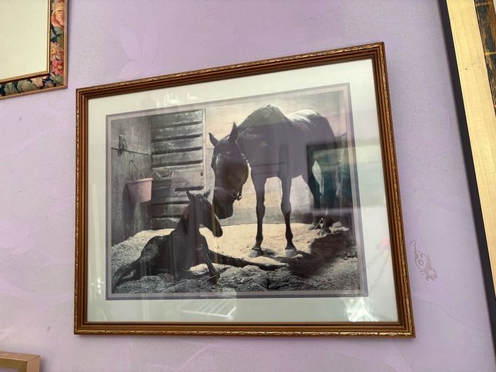 Picture with horses