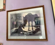 Picture with horses