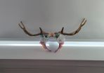 Fancy Dress / Halloween - Deer Antlers