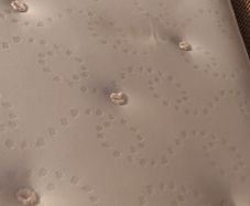 Single Mattress