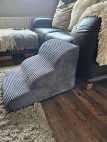 dog stairs