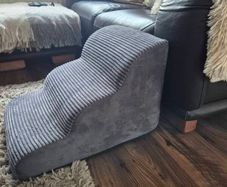 dog stairs