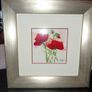Marthe- Poppies in the wind ll Image 5