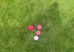 cricket balls