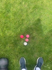 cricket balls