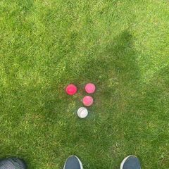 cricket balls