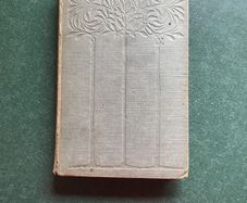 Stepsons of France