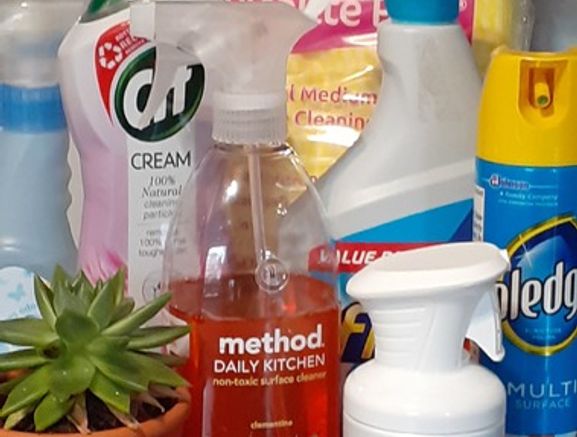 Professional cleaner