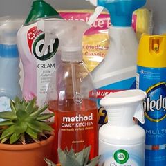Professional cleaner
