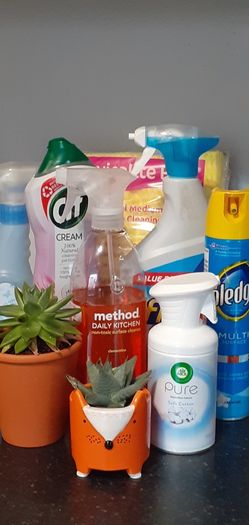 Professional cleaner