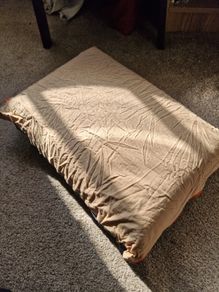 Camping pillow